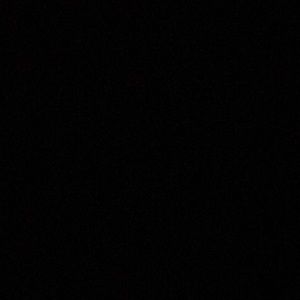 Meet your Posher, Abbie